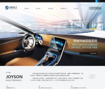 ��ʤ����www.joyson.cn