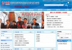 ���ƹɷ�sinog2c.com