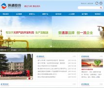 ��ͨ�ɷ�www.tongyuangas.com