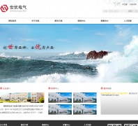 ���ŵ���shiyou-electric.com