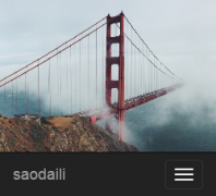 ���ߴ��� saodaili.com