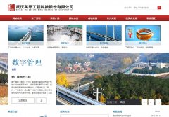 Ӣ˼�Ƽ�wuhanins.com