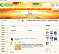 �ǻ����Ľ�����wise99.com