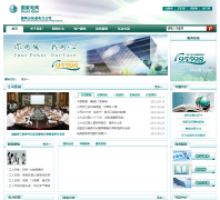 ����ɽ��ʡ������˾sd.sgcc.com.cn