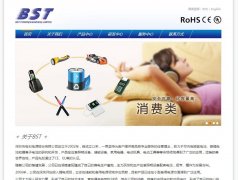 ��Ƶ�Դbstbattery.com