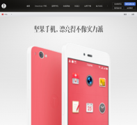 ���ӿƼ�����smartisan.cn