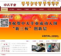 ������ҵztyangye.com