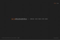 �׳ǹɷ�ecspartner.com