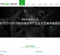 �����и�persagy.com