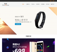 ����ֻ��ٷ��̳�51greenorange.com