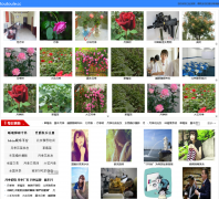 ��Ӱ��toutoule.cc