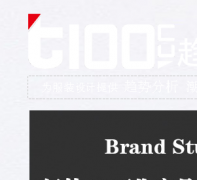 t100��װ������t100.cn