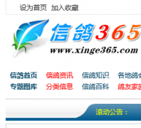 �й��Ÿ�365xinge365.com