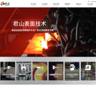 ��ɽ�ɷ�shjsst.com