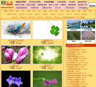 ���������ֽ����ͼƬ��ȫgb.wallpapersking.com