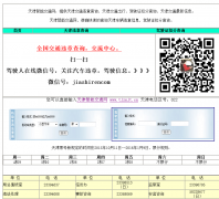 ������ܽ�ͨ��tjznjt.cn