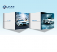 ��������saicgroup.com