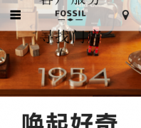 FOSSIL����ʯ�����Ĺٷ���վfossilchina.cn