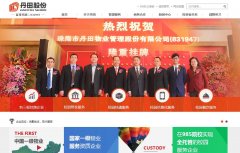 ����ɷ�dantins.com