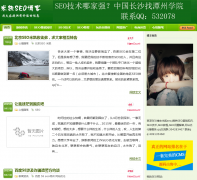 �׿�SEO������������seo.wordc.cn