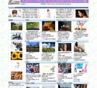 ��ֽ��bzdao.com