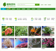 ֲ��ٿ�zw3w.com