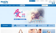 ������̩�󶼻����ٱ������޹�˾metlife.com.cn