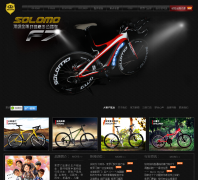 ���������г�����solomo.com.cn