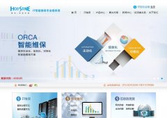 ����˼��holystone.com.cn