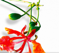 ���Ŵ�ѧ�о���Ժgs.xmu.edu.cn