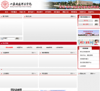 ɽ���Ƽ�ְҵѧԺsdzy.com.cn