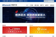 ������Ԫwiseweb.com.cn