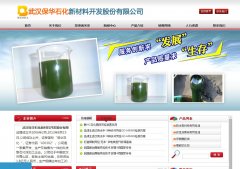 ����ʯ��www.baohua-pec.com