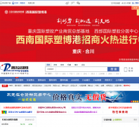 ����˾��plasway.com