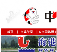 �н���̳bbs.koiclub.net