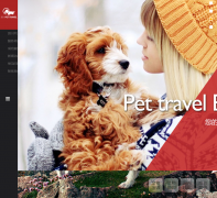 �ɴ���������chinapettravel.com
