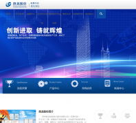 ʤ���ɷ�shenglongit.com