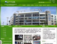 ��Ҷ�ɷ�yunye.cn