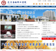 ��������ְҵѧԺlnfvc.cn