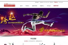 ���ɷ�www.kingdaychina.com