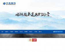 ��³��ҩ���޹�˾qilu-pharma.com