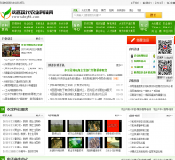 �ִ�ũҵxdny86.com