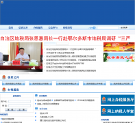 ���ɹ��������ط�˰���nmds.gov.cn