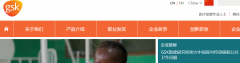 ������ʷ���й�����gsk-china.com