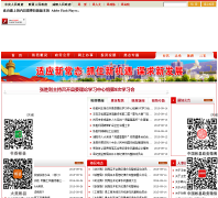 ��������������վsnbinxian.gov.cn