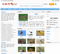 ����ٿƴ�ȫbaike.niaolei.org.cn