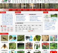 �й�԰��ֲ����zhibao.yuanlin.com