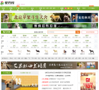 ������ aigou.com