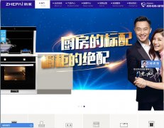 ���ɹ���www.cnzhepai.com