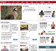 ���ӽ�����nzjsw.com